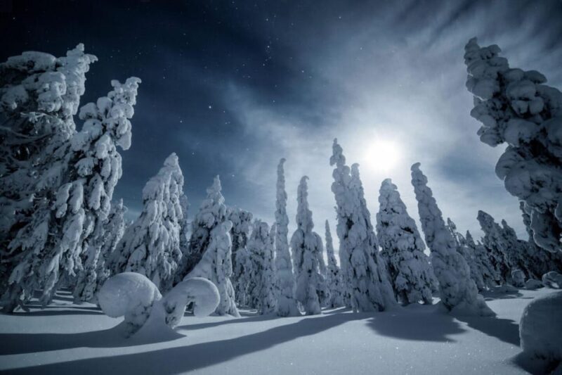 Rovaniemi: Reindeer Safari and Northern Lights Tour - Rovaniemi: Reindeer Safari and Northern Lights Tour