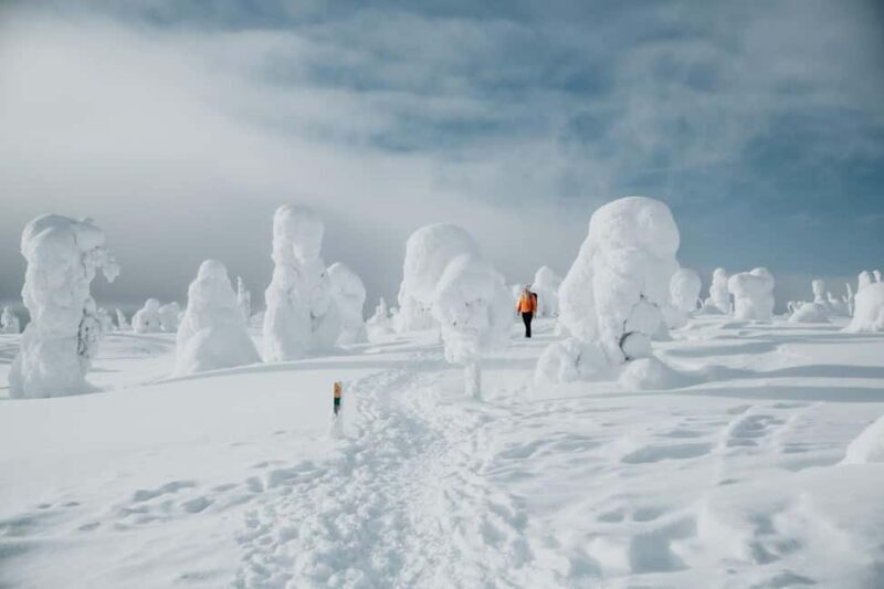 Rovaniemi: Riisitunturi and Korouoma Waterfalls Hiking Tour - Exploring Lapland’s Winter Wonders: A Comprehensive Review