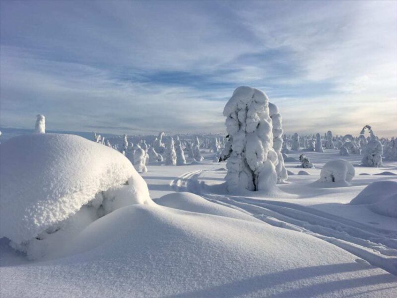 Rovaniemi: Riisitunturi Full-Day Wilderness Adventure & BBQ - An In-Depth Look at the Riisitunturi Wilderness Adventure
