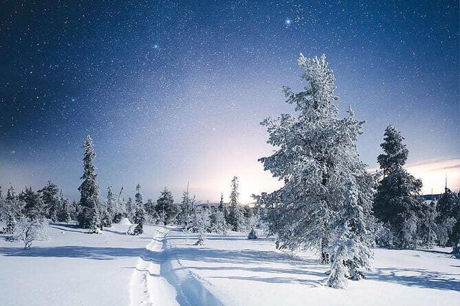 Rovaniemi: Riisitunturi Full-Day Wilderness Adventure & BBQ - An In-Depth Look at the Riisitunturi Wilderness Adventure