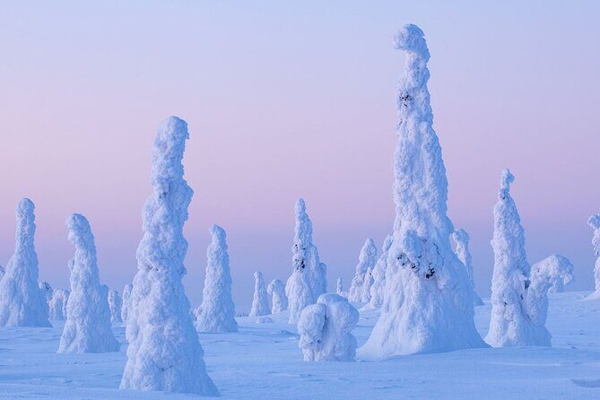 Rovaniemi: Riisitunturi Full-Day Wilderness Adventure & BBQ - Who Should Consider This Tour?