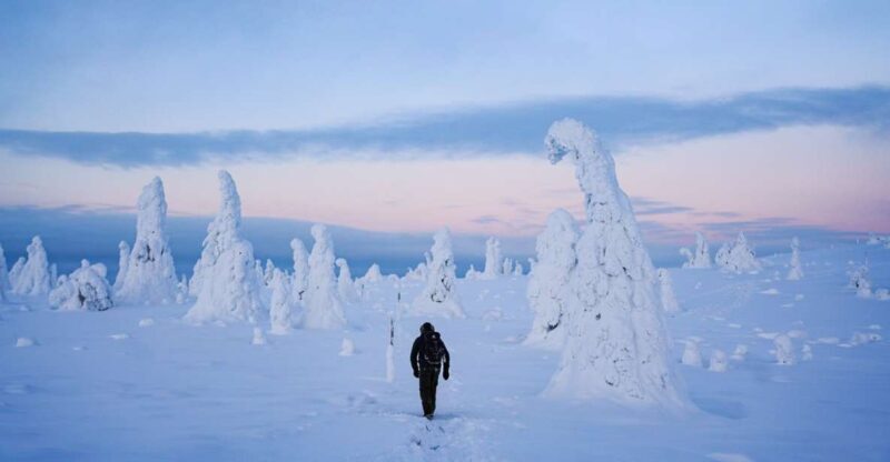 Rovaniemi: Riisitunturi National Park Day Trip with Lunch - In-Depth Look at the Riisitunturi National Park Day Trip
