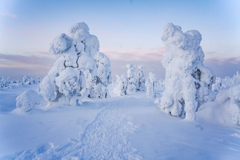 Rovaniemi: Riisitunturi National Park Day Trip with Lunch - FAQ