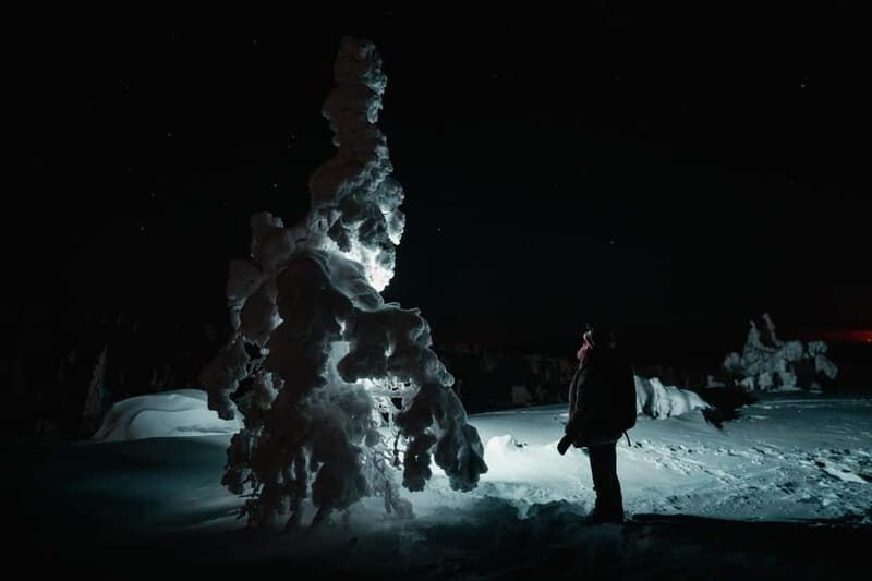 Rovaniemi: Riisitunturi National Park Night Photography Tour - Exploring the Riisitunturi National Park Night Photography Tour