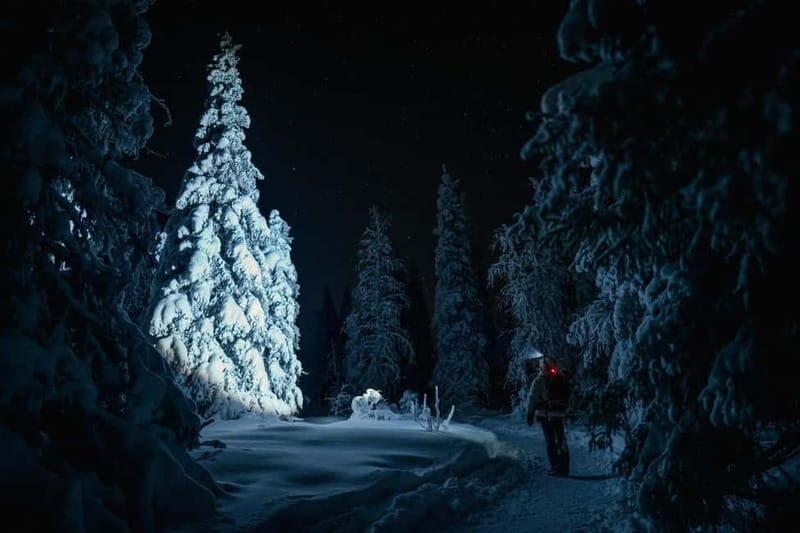 Rovaniemi: Riisitunturi National Park Night Photography Tour - Who Should Consider This Tour?