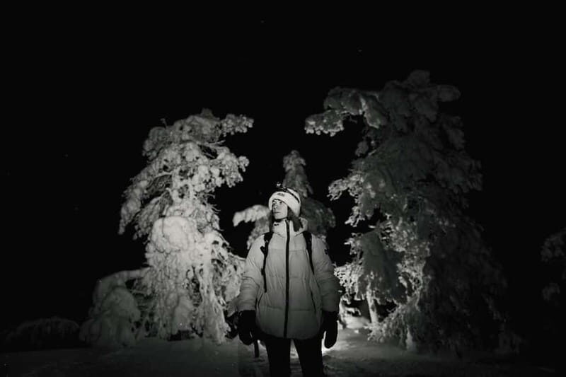 Rovaniemi: Riisitunturi National Park Night Photography Tour - The Sum Up