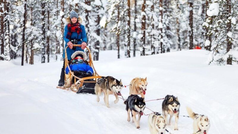 Rovaniemi: Santa Claus Village + Husky & Reindeer Sled Ride - Final Thoughts
