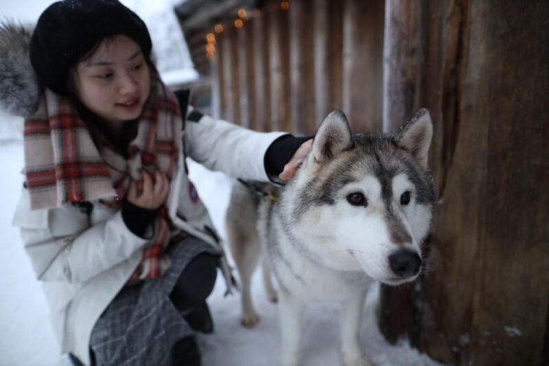 Rovaniemi: Santa Claus Village Tour Huskies & Reindeer Visit - Who Should Take This Tour?