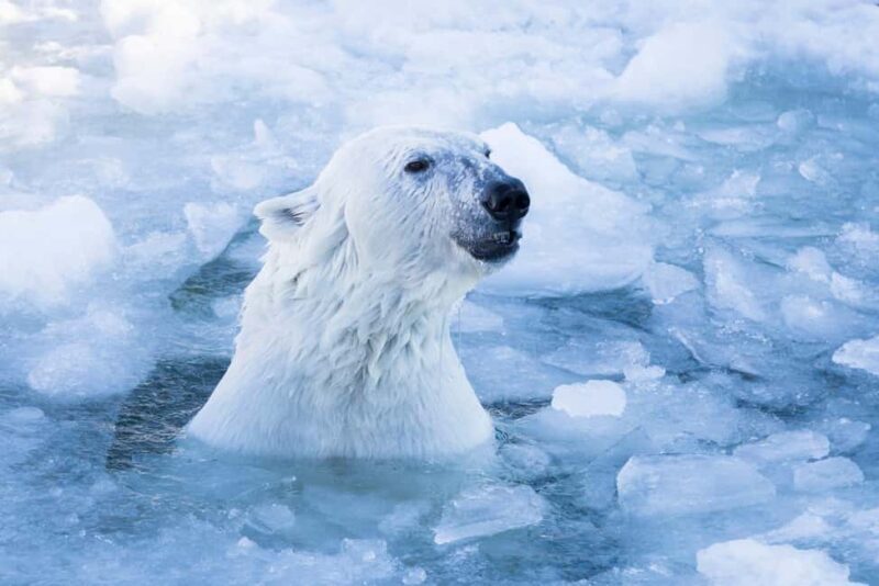 Rovaniemi: Santa Claus Village, Zoo, and Waterfalls Tour - FAQs