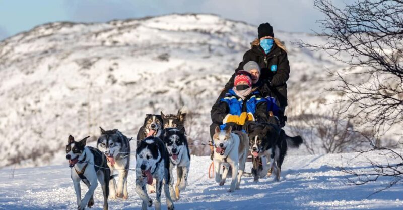 Rovaniemi: Santa's Village, Husky, & Reindeer Sled Ride - Key Points