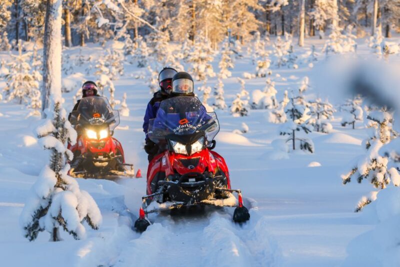 Rovaniemi: Santas Village & Snowmobiling to Reindeer Farm - Who Will Love This Tour?
