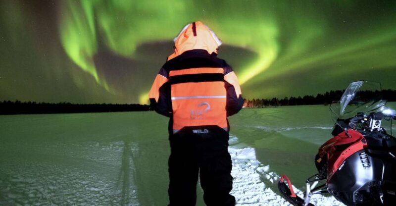 Rovaniemi: Search for Northern Lights Snowmobiling Trip - Key Points