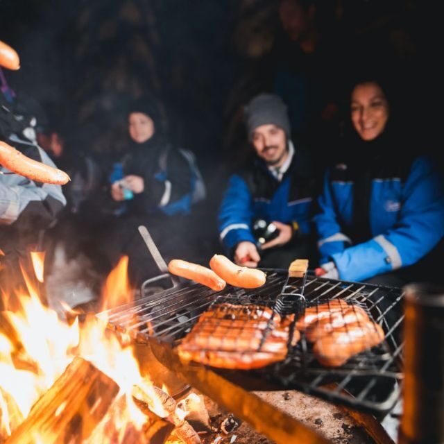 Rovaniemi: Search for Northern Lights Snowmobiling Trip - The Sum Up