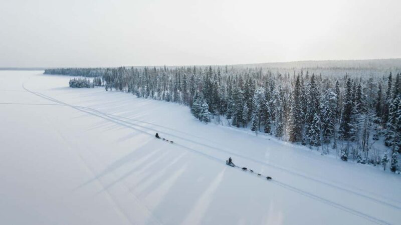 Rovaniemi: Self-Driving Husky Tour 7-kilometers - Key Points