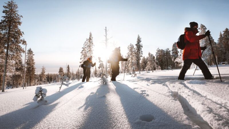 Rovaniemi: Ski Trekking Safari in Lapland - Detailed Breakdown of the Itinerary
