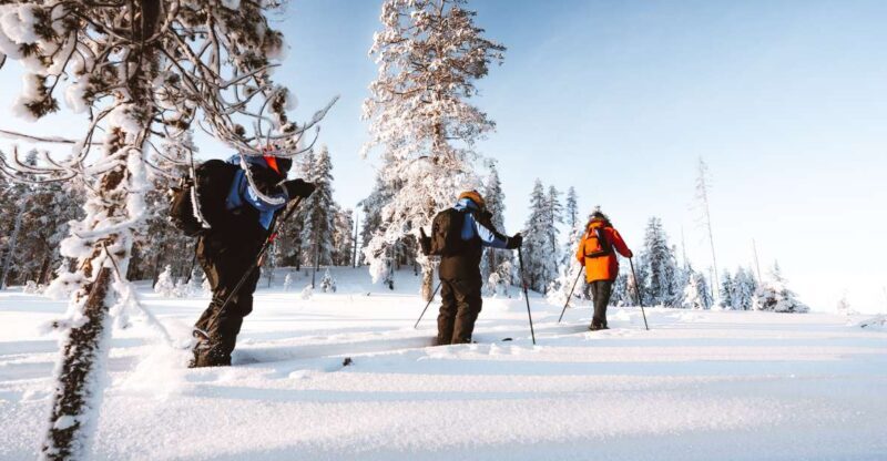 Rovaniemi: Ski Trekking Safari in Lapland - Authenticity and Value