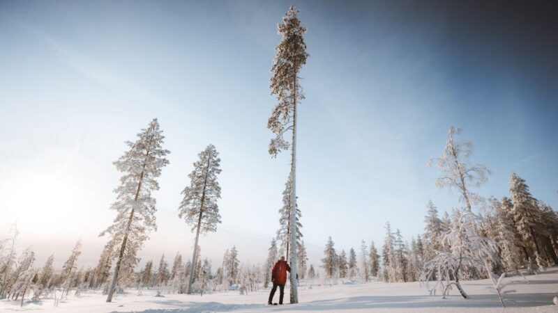 Rovaniemi: Ski Trekking Safari in Lapland - Final Thoughts