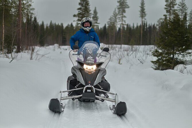 Rovaniemi Snowmobile Adventure & BBQ - 1Hour Drive, Small Group - Authentic Experiences Highlighted by Travelers