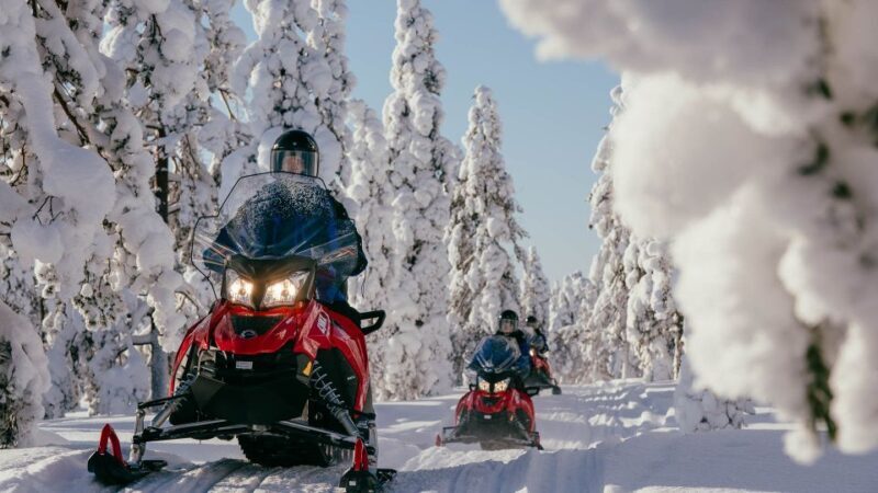 Rovaniemi: Snowmobile Adventure Tour for Adults Only - Rovaniemi: Snowmobile Adventure Tour for Adults Only
