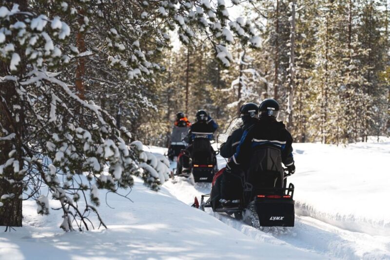 Rovaniemi: Snowmobile Adventure Tour for Adults Only - Why Travelers Love This Tour