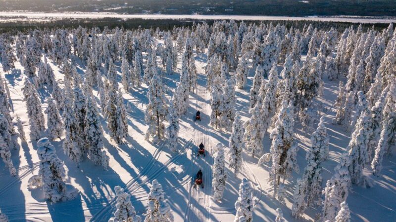 Rovaniemi: Snowmobile Adventure Tour for Adults Only - Who Should Consider This Tour?