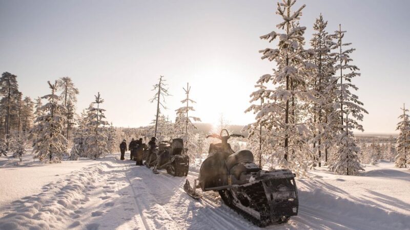 Rovaniemi: Snowmobile Adventure Tour for Adults Only - Final Thoughts