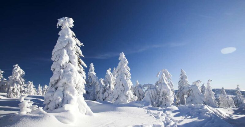 Rovaniemi: Snowmobile Safari Adventure - Key Points