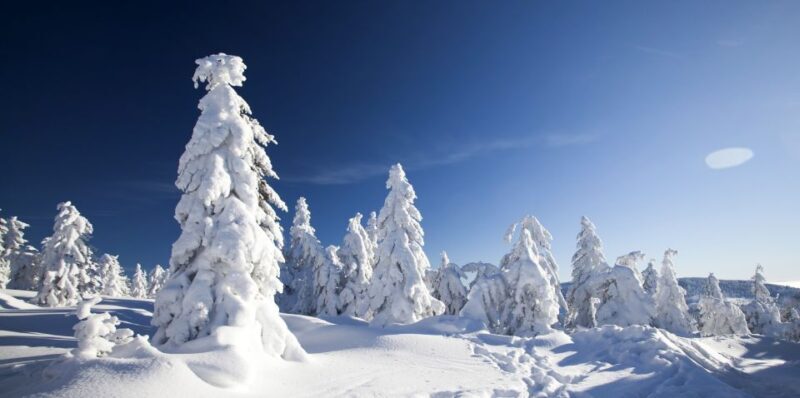 Rovaniemi: Snowmobile Safari Adventure - The Sum Up: Is It Worth It?