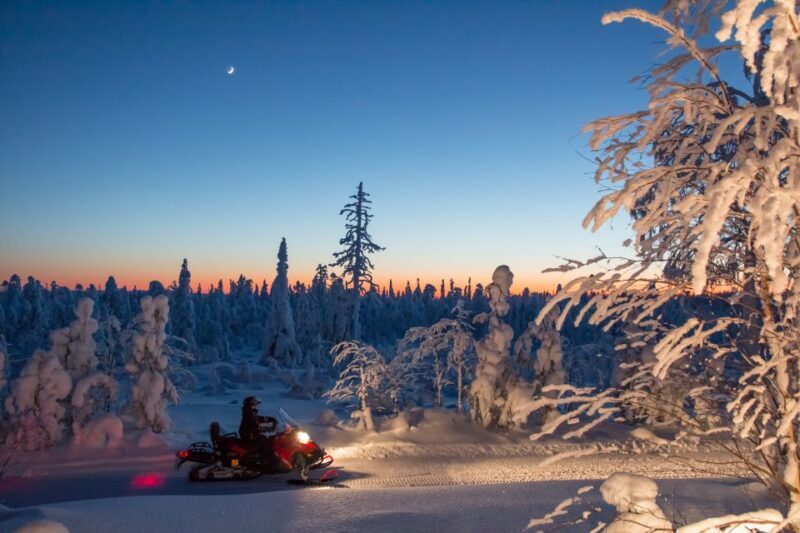 Rovaniemi: Snowmobile Safari & Campfire Evening Escape - Who Will Enjoy This Tour?