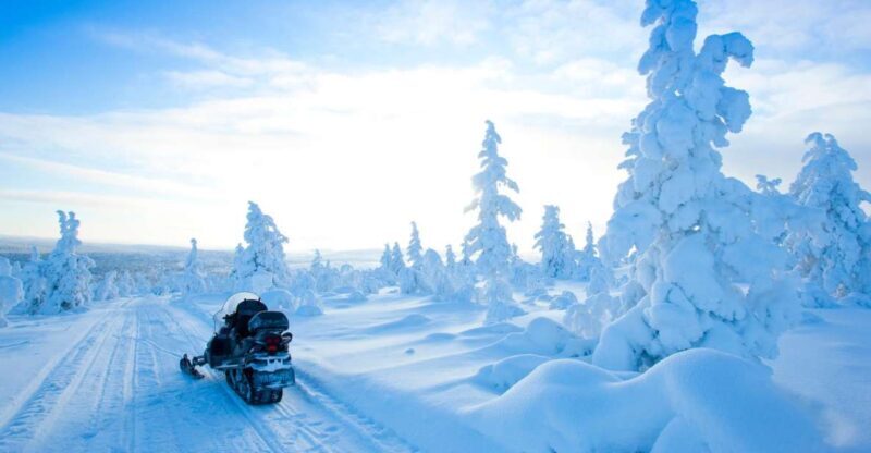 Rovaniemi: Snowmobile Safari in the Arctic Circle - The Experience in Detail
