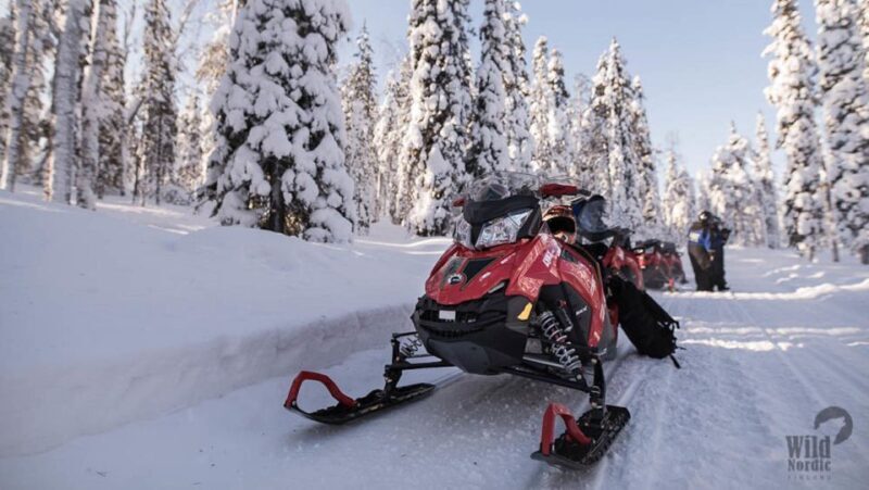 Rovaniemi: Snowmobile Safari into the Arctic Circle Forest - The Value Proposition