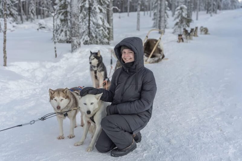 Rovaniemi: Snowmobile Safari, Reindeer & Husky Sleigh Ride - Meeting and Learning About Reindeer and Huskies