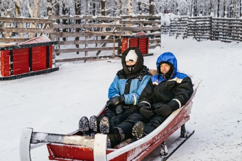 Rovaniemi: Snowmobile Safari, Reindeer & Husky Sleigh Ride - Who Should Consider This Tour?