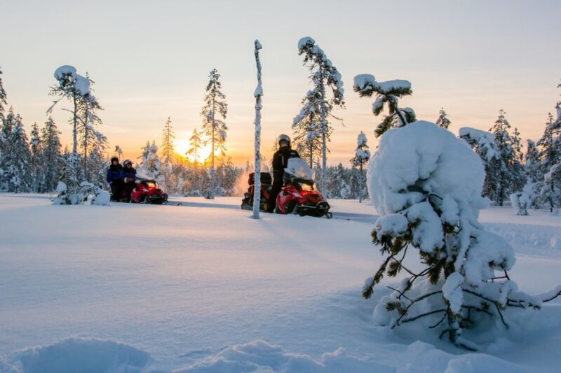 Rovaniemi: Snowmobile Safari to a Reindeer Farm - Rovaniemi: Snowmobile Safari to a Reindeer Farm