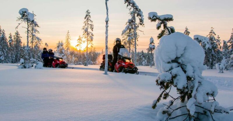 Rovaniemi: Snowmobile Safari to a Reindeer Farm - Key Points