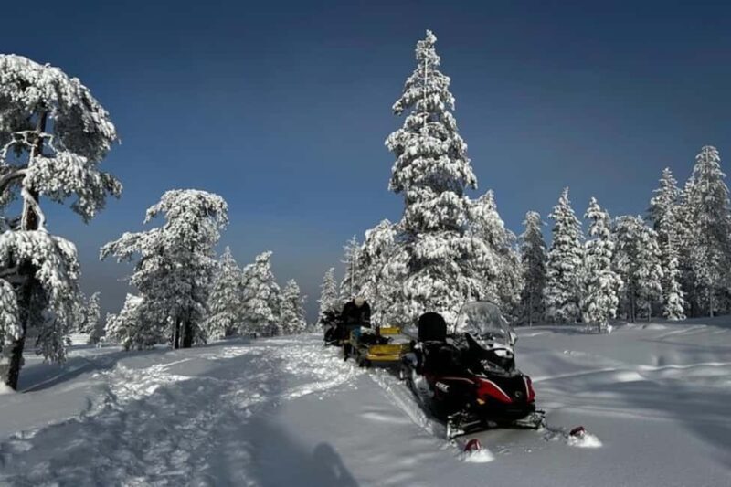 Rovaniemi: Snowmobile Safari to the Wilderness - Who Should Consider This Tour?