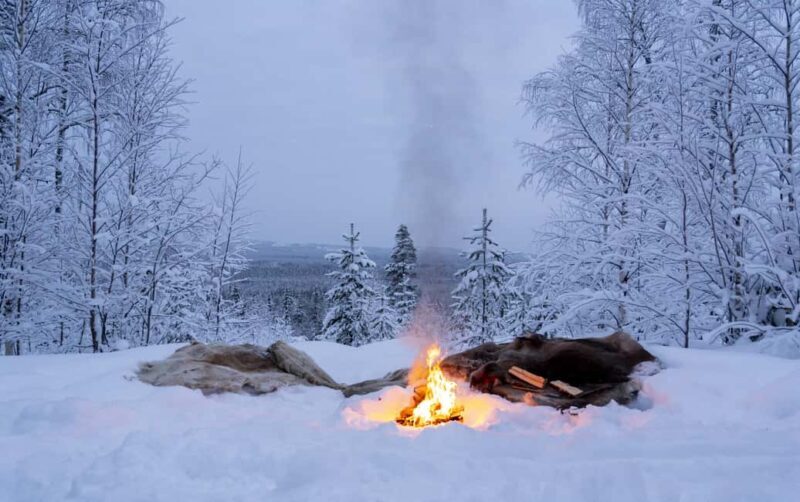 Rovaniemi: Snowmobile Sleigh Ride with Campfire Coffee - The Sum Up