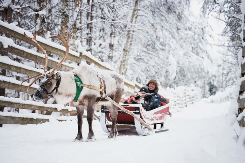 Rovaniemi: Snowmobile Tour and Reindeer Experience - Key Points