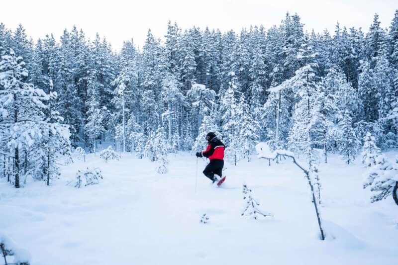 Rovaniemi: Snowshoe Wilderness Adventure - What Is the Rovaniemi Snowshoe Wilderness Adventure?