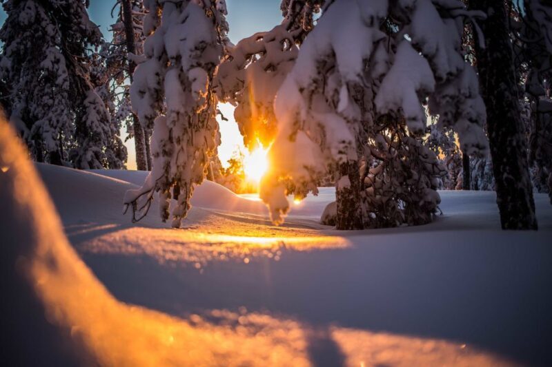 Rovaniemi: Snowshoe Wilderness Adventure - The Itinerary: What to Expect