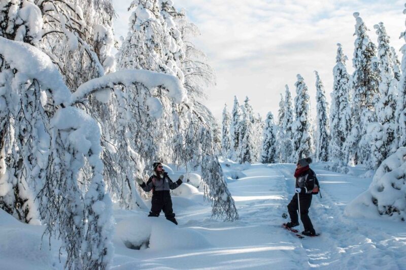 Rovaniemi: Snowshoe Wilderness Adventure - The Practical Side: What Travelers Need to Know
