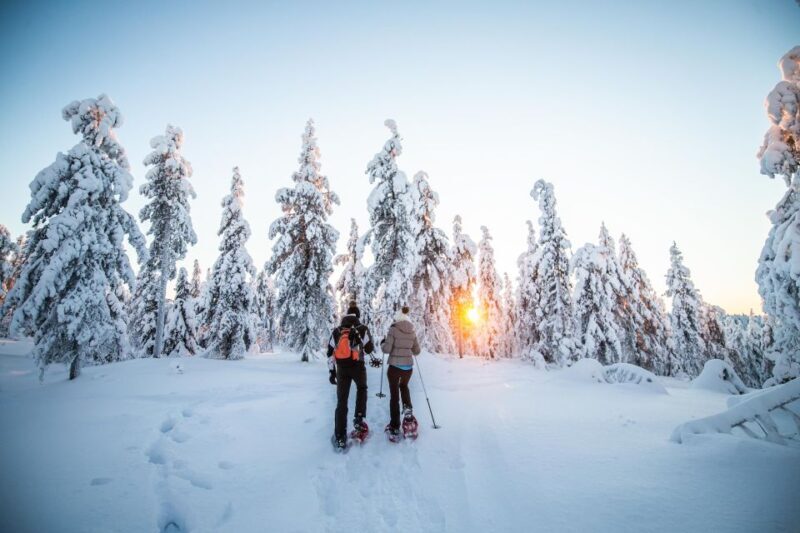 Rovaniemi: Snowshoe Wilderness Adventure - FAQ
