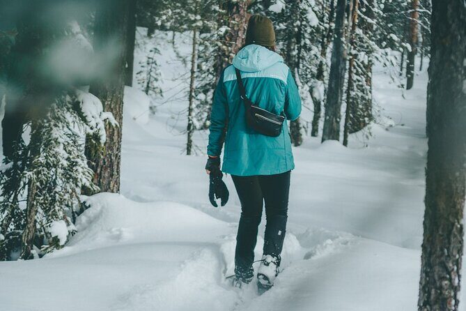 Rovaniemi: Snowshoeing in a magical snowy forest - Exploring Snowshoeing in Rovaniemi: A Personal Perspective
