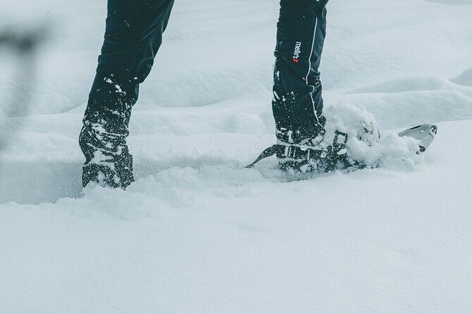 Rovaniemi: Snowshoeing in a magical snowy forest - Practical Details and Considerations