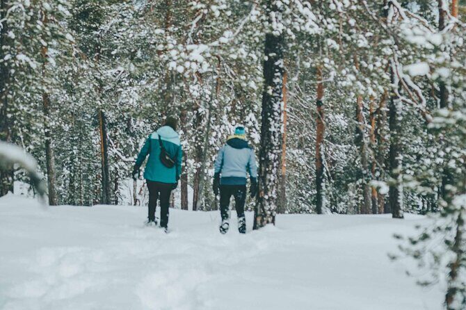 Rovaniemi: Snowshoeing in a magical snowy forest - Who Should Consider This Tour?