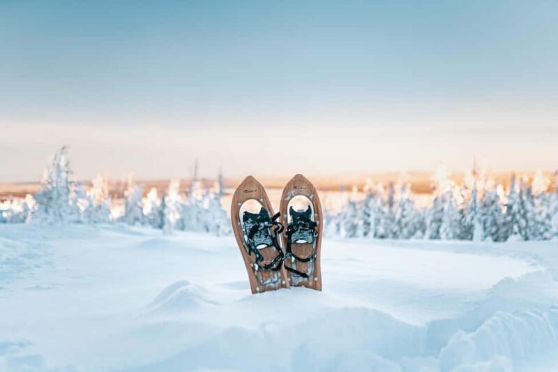 Rovaniemi: Snowshoeing in the Arctic Wilderness - Exploring the Arctic Wilderness on Snowshoes