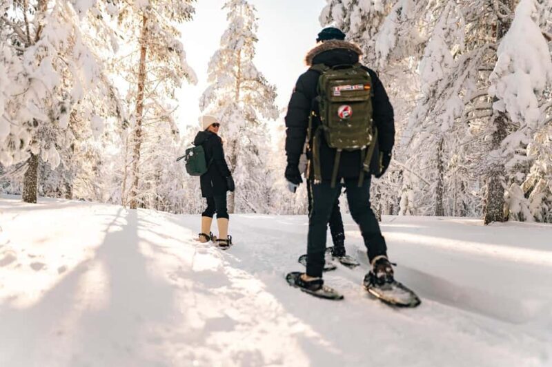 Rovaniemi: Snowshoeing in the Arctic Wilderness - Who Will Love This Tour?