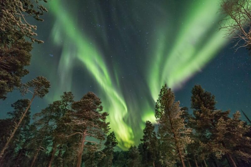 Rovaniemi: Snowy Forest Night Hike with Northern Lights - An In-Depth Look at the Snowy Forest Night Hike