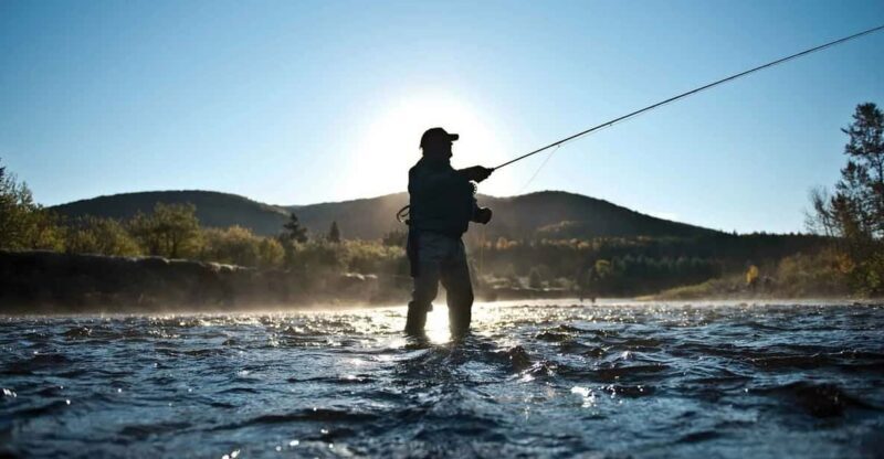 Rovaniemi: Summer Fishing Tour in Arctic Nature & BBQ - Practical Details and Tips