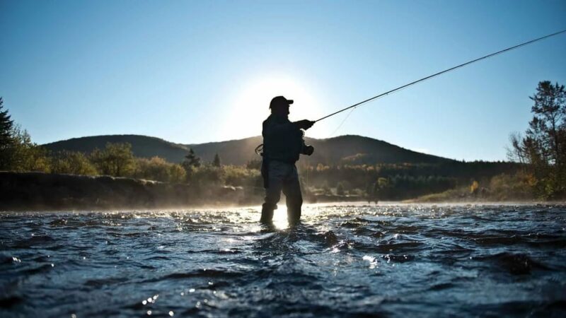 Rovaniemi: Summer Fishing Tour in Arctic Nature & BBQ - Frequently Asked Questions